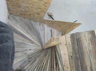 Grajewo ogłoszenia: Witam, jesteśmy młodym i solidnym zespołem, który sumiennie... - zdjęcie