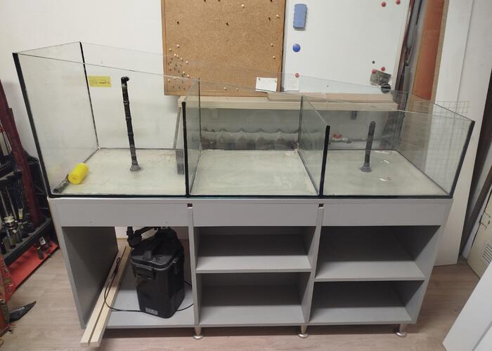 Grajewo ogłoszenia: Pojemność akwarium około 230 litrów.
Szkoło 8mm
Oferta...